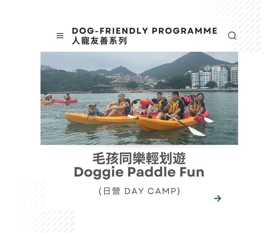 website resize image (10)