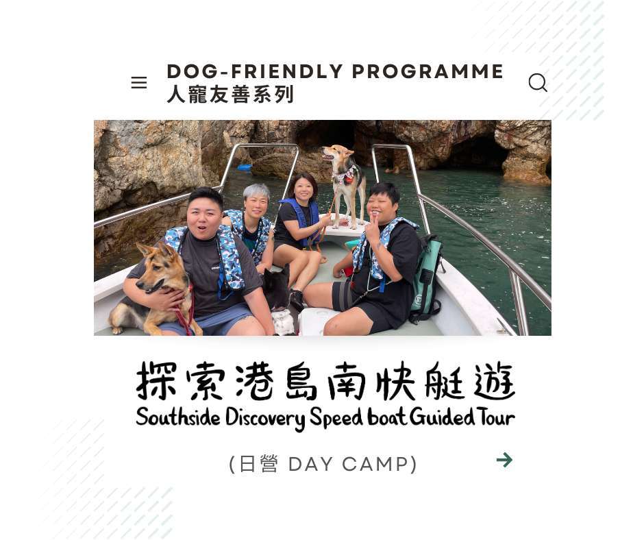 website resize image (11)